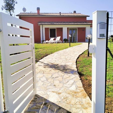 Villetta Fedora Immersa Nel Verde Cecina  Exterior photo