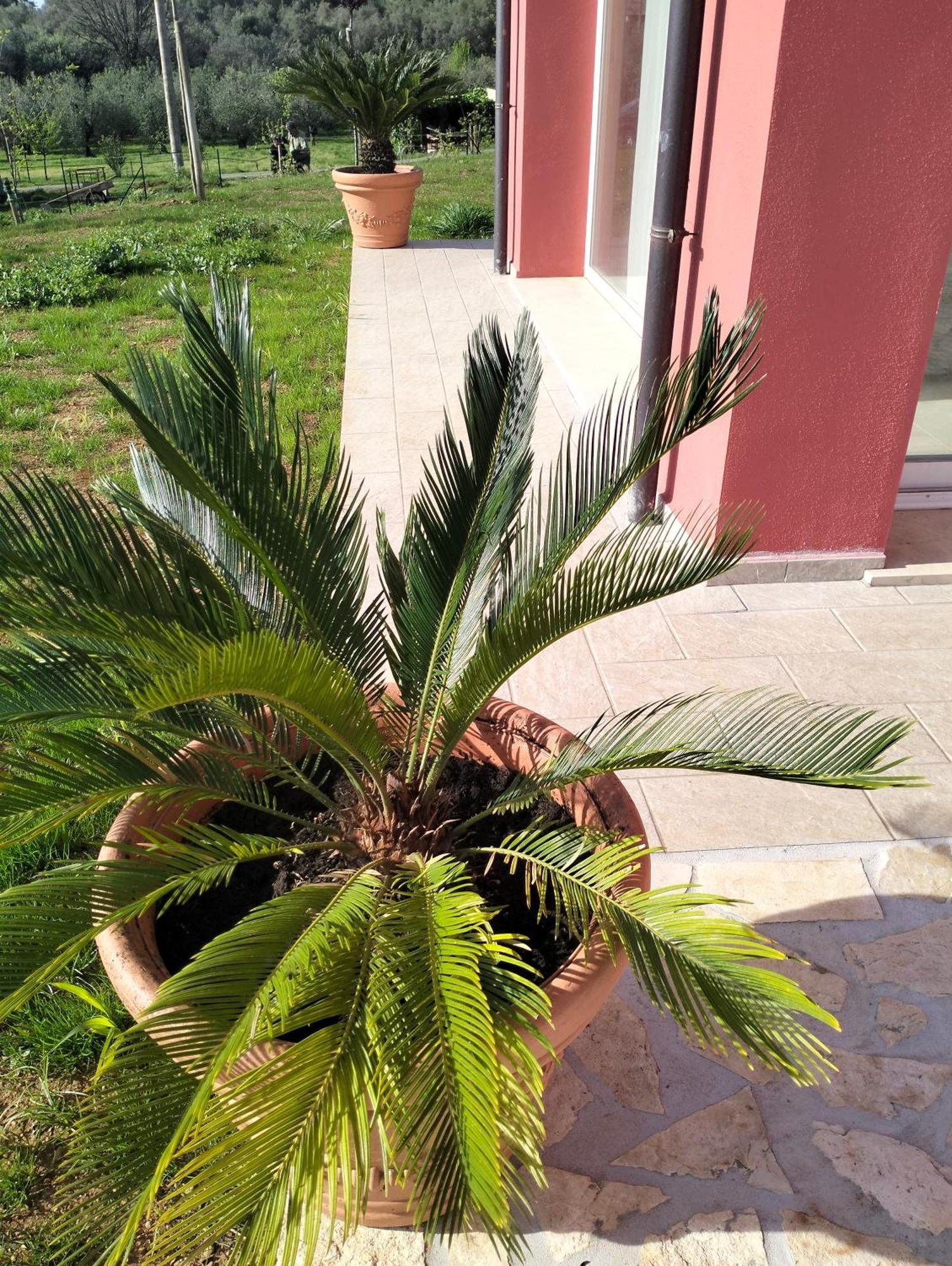 Villetta Fedora Immersa Nel Verde Cecina  Exterior photo